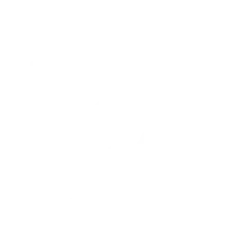 Icon of Brush Before Re-inserting