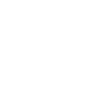 BioSmart™ Sm aligner icon