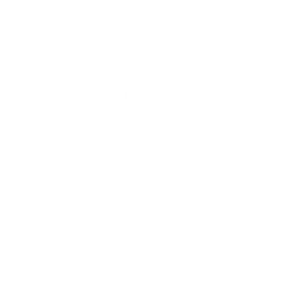 Icon of Temporary Lisp May Occur