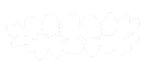 Mixed Dentition Image