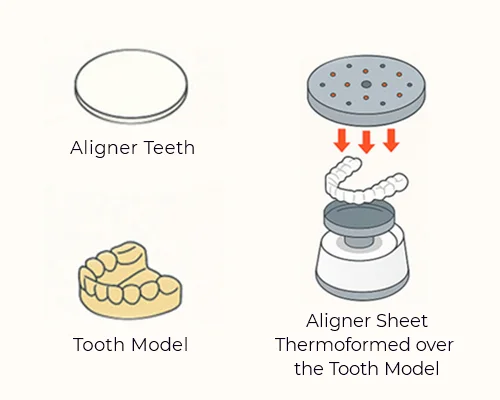 T Aligners Image